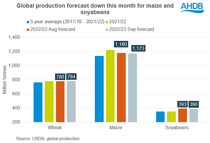 Figure showing USDA forecast maize and soyabean production down